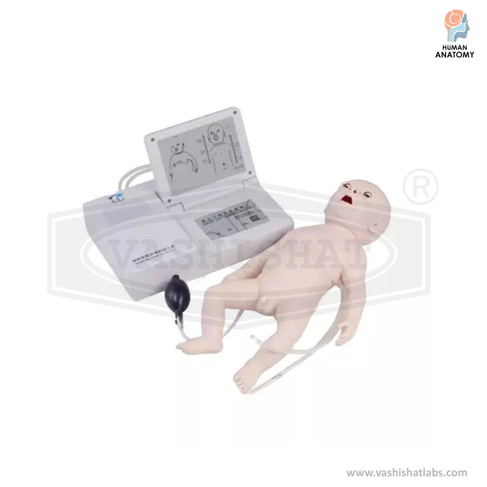 Infant CPR Training Manikin